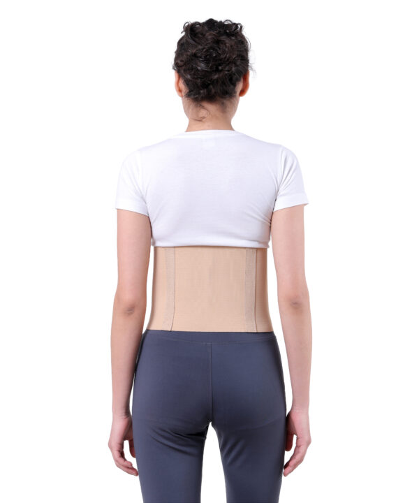 Abdominal belt Back